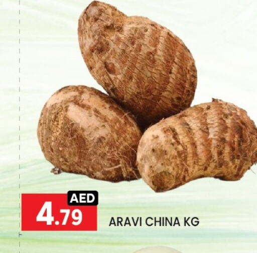 Fresh Vegetables in LIYAKKAS HYPERMARKET LLC, UAE Offers - United Arab Emirates from China available at LIYAKKAS HYPERMARKET LLC in UAE - Abu Dhabi