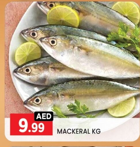 Fresh Fish in LIYAKKAS HYPERMARKET LLC, UAE Offers - United Arab Emirates available at LIYAKKAS HYPERMARKET LLC in UAE - Abu Dhabi