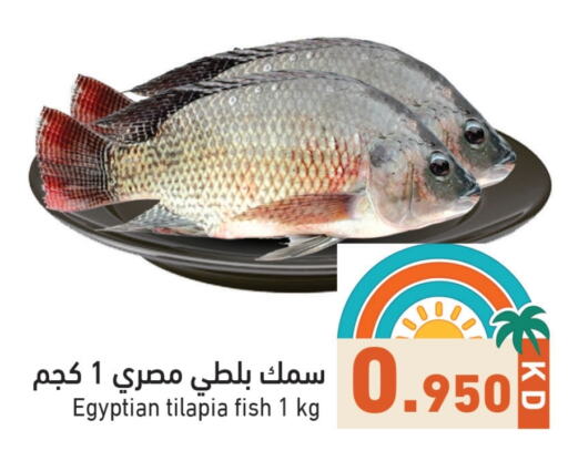 Fresh Fish in Ramez, Kuwait Offers - Kuwait available at Ramez in Kuwait - Ahmadi Governorate
