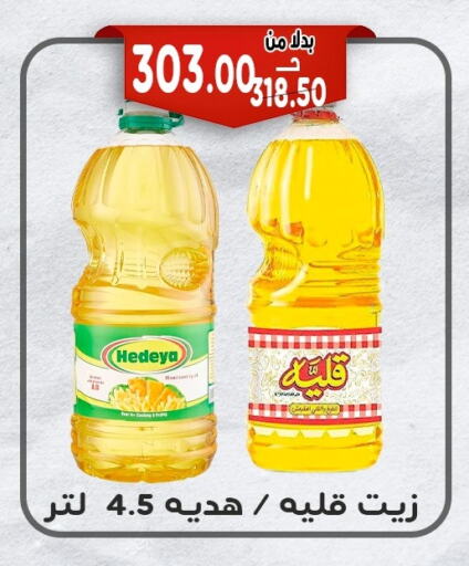 available at Bondok Market  in Egypt - Cairo