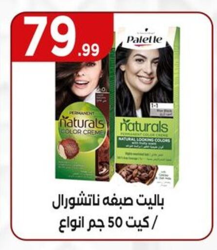 PALETTE available at El Mahlawy Stores in Egypt - Cairo
