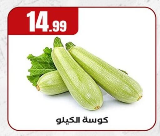الخضروات الطازجة in المحلاوي ستورز, Egypt Offers - Egypt كوسا available at المحلاوي ستورز in Egypt - القاهرة