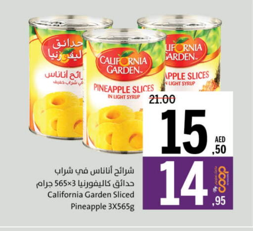 كاليفورنيا جاردن available at جمعية الشارقة التعاونية in الإمارات العربية المتحدة , الامارات - ٱلْفُجَيْرَة‎