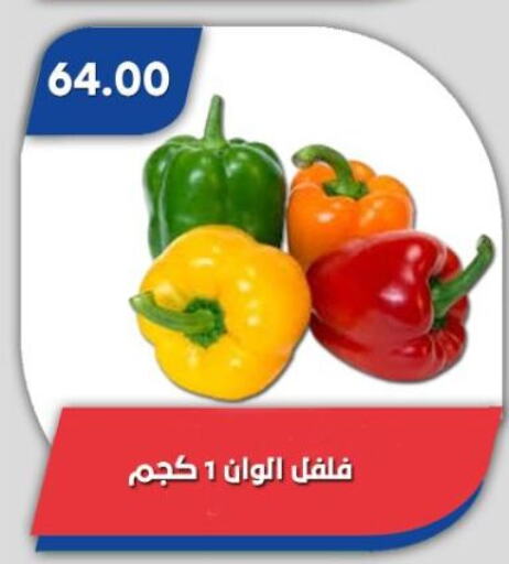 فلفل / فليفلة available at باسم ماركت in Egypt - القاهرة