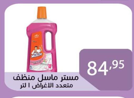 MR. MUSCLE General Cleaner available at Sun Mall in Egypt - Cairo