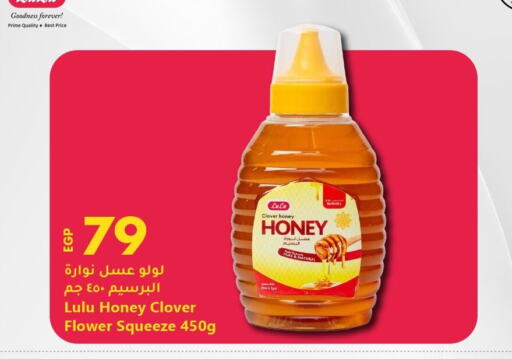 لولو عسل available at لولو هايبرماركت in Egypt - القاهرة