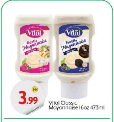 Sauces & Spreads in BIGmart, UAE Offers - United Arab Emirates Mayonnaise available at BIGmart in UAE - Abu Dhabi
