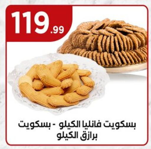 البسكويت in المحلاوي ستورز, Egypt Offers - Egypt available at المحلاوي ستورز in Egypt - القاهرة