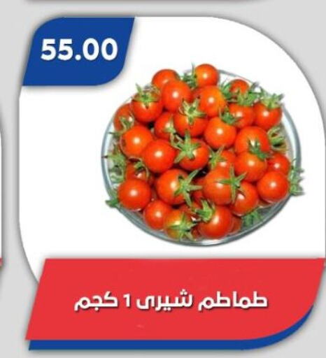 طماطم available at باسم ماركت in Egypt - القاهرة