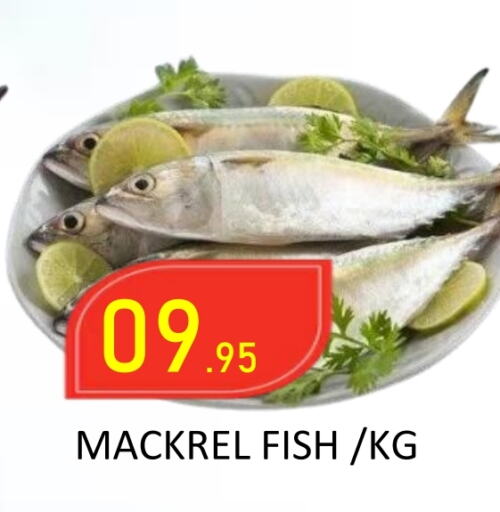 available at ROYAL GULF HYPERMARKET LLC in UAE - Abu Dhabi