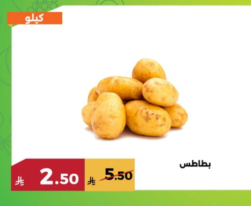 بطاطا available at حدائق الفرات in مملكة العربية السعودية, السعودية, سعودية - مكة المكرمة