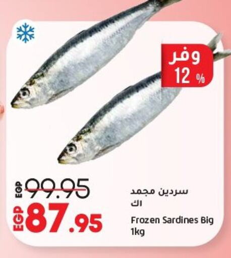 الأسماك الطازجة in لولو هايبرماركت, Egypt Offers - Egypt available at لولو هايبرماركت in Egypt - القاهرة