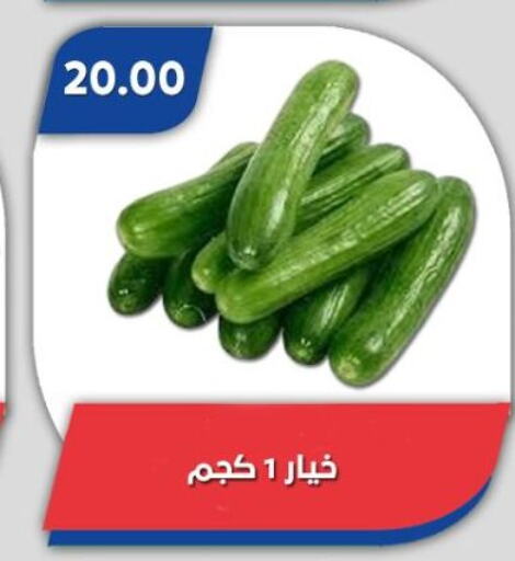 خيار available at باسم ماركت in Egypt - القاهرة