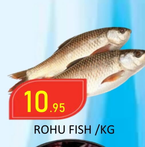 available at ROYAL GULF HYPERMARKET LLC in UAE - Abu Dhabi