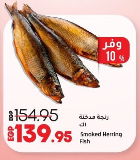 available at لولو هايبرماركت in Egypt - القاهرة