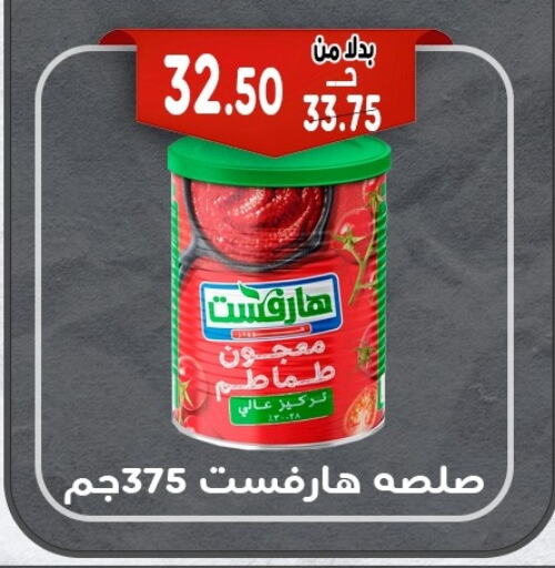 available at بندق ماركت in Egypt - القاهرة