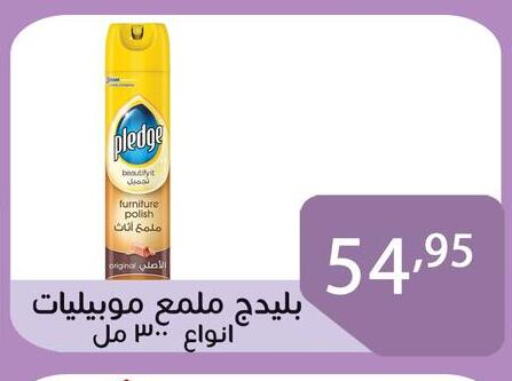 بليدج العناية بالأثاث in Egypt - القاهرة