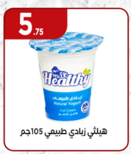 زبادي و لبنة in المحلاوي ستورز, Egypt Offers - Egypt زبادي available at المحلاوي ستورز in Egypt - القاهرة