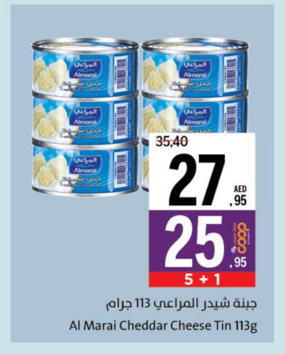 المراعي جبنة الشيدر available at جمعية الشارقة التعاونية in الإمارات العربية المتحدة , الامارات - ٱلْفُجَيْرَة‎