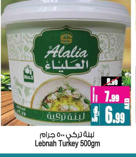 لبنة available at أنصار مول in الإمارات العربية المتحدة , الامارات - الشارقة / عجمان