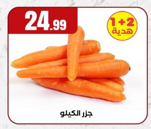 الخضروات الطازجة in المحلاوي ستورز, Egypt Offers - Egypt جزر available at المحلاوي ستورز in Egypt - القاهرة