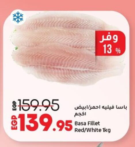 الأسماك الطازجة in لولو هايبرماركت, Egypt Offers - Egypt available at لولو هايبرماركت in Egypt - القاهرة