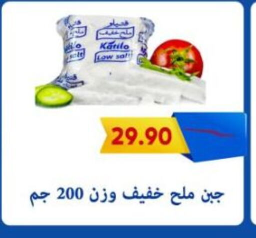 كتيلو available at باسم ماركت in Egypt - القاهرة