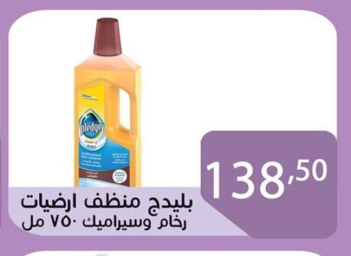 PLEDGE General Cleaner available at Sun Mall in Egypt - Cairo