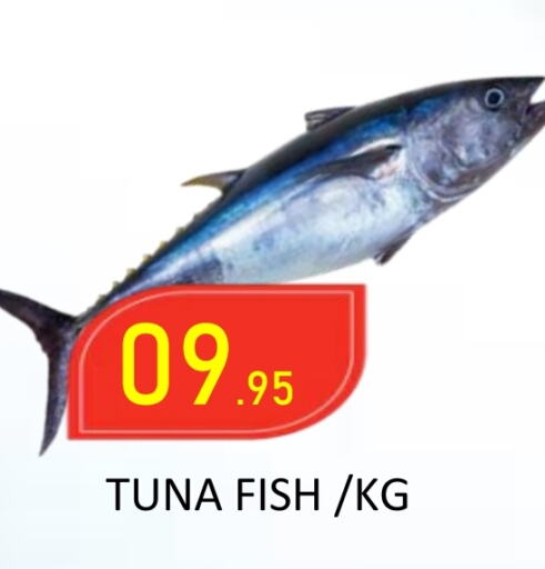 available at ROYAL GULF HYPERMARKET LLC in UAE - Abu Dhabi