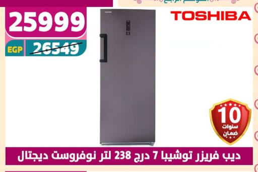 TOSHIBA Freezer available at Shaheen Center in Egypt - Cairo