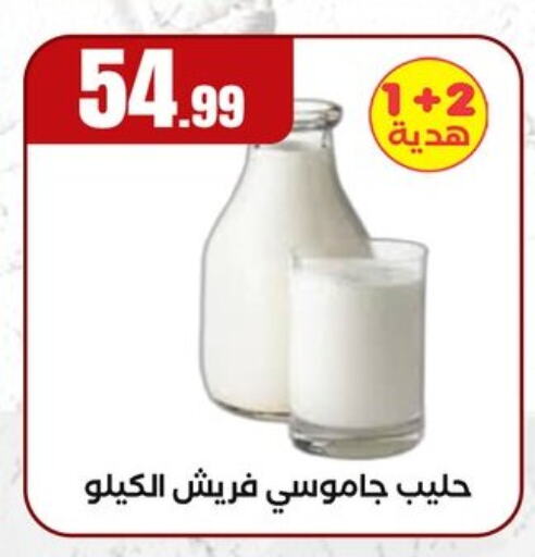 حليب و لبن in المحلاوي ستورز, Egypt Offers - Egypt available at المحلاوي ستورز in Egypt - القاهرة