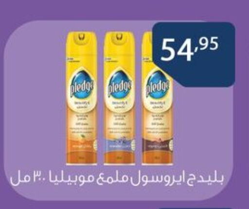 بليدج in Egypt - القاهرة