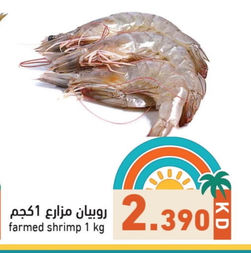 Fresh Fish in Ramez, Kuwait Offers - Kuwait available at Ramez in Kuwait - Ahmadi Governorate