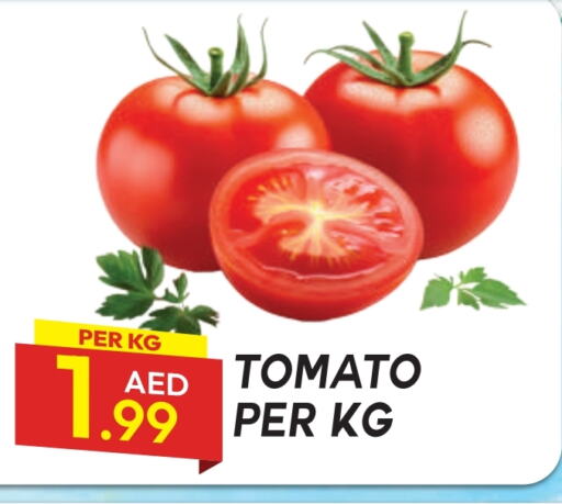 Tomato available at Dream Land in UAE - Dubai
