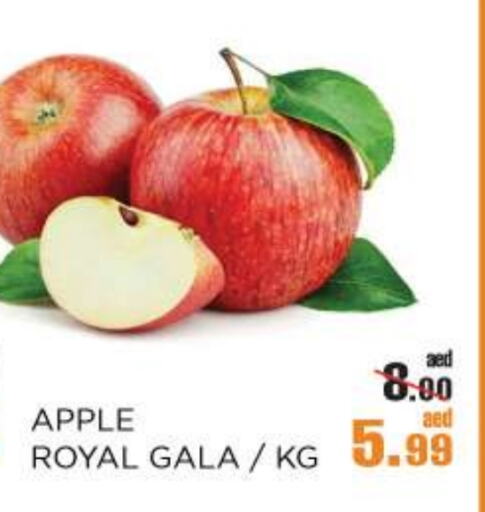 Fresh Fruits in OK Hypermarket LLC SPC, UAE Offers - United Arab Emirates Apples available at OK Hypermarket LLC SPC in UAE - Abu Dhabi