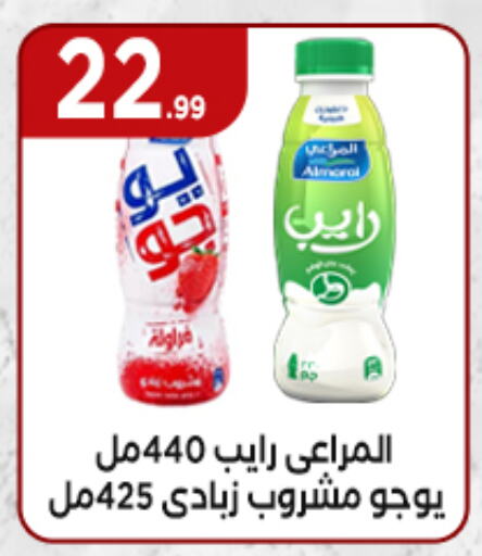 زبادي و لبنة in مارت فيل, Egypt Offers - Egypt المراعي available at مارت فيل in Egypt - القاهرة