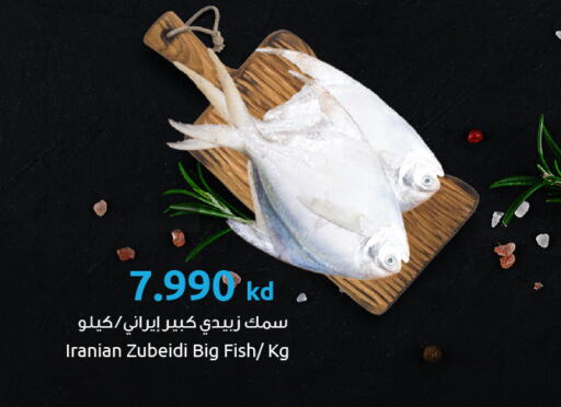 available at The Sultan Center in Kuwait - Ahmadi Governorate