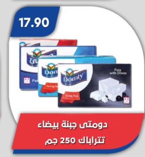 DOMTY Feta available at Bassem Market in Egypt - Cairo