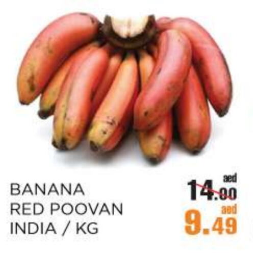 Fresh Fruits in OK Hypermarket LLC SPC, UAE Offers - United Arab Emirates Banana from India available at OK Hypermarket LLC SPC in UAE - Abu Dhabi