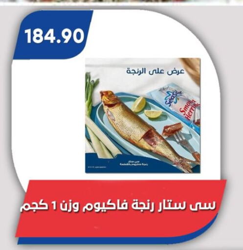 الأسماك الطازجة in باسم ماركت, Egypt Offers - Egypt available at باسم ماركت in Egypt - القاهرة