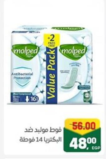 available at جلهوم ماركت in Egypt - القاهرة