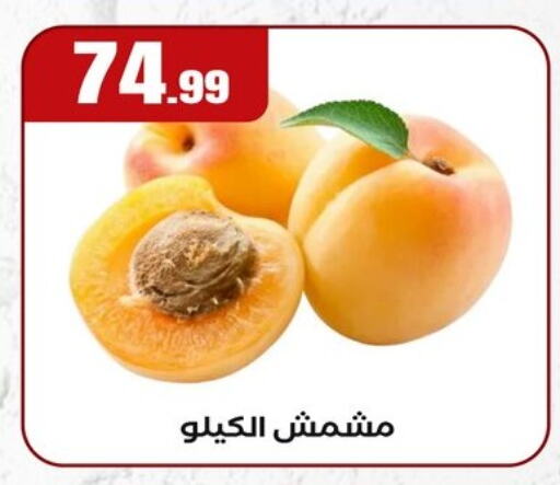 available at مارت فيل in Egypt - القاهرة