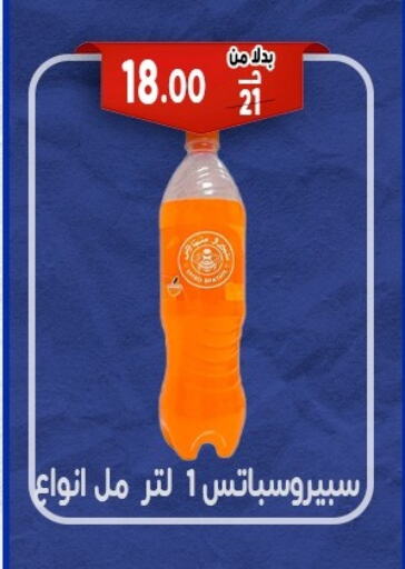 available at Bondok Market  in Egypt - Cairo