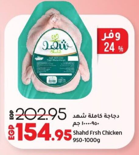 دجاج كامل مجمد available at لولو هايبرماركت in Egypt - القاهرة