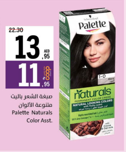 العناية بالشعر in جمعية الشارقة التعاونية, UAE Offers - الإمارات العربية المتحدة باليت صبغة شعر available at جمعية الشارقة التعاونية in الإمارات العربية المتحدة , الامارات - الشارقة / عجمان