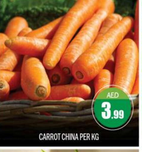 Fresh Vegetables in BIGmart, UAE Offers - United Arab Emirates Carrot from China available at BIGmart in UAE - Abu Dhabi