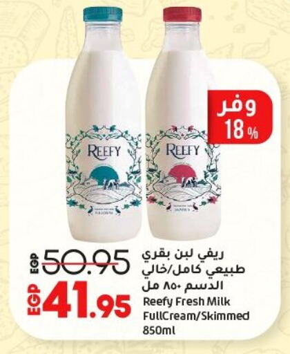 حليب طازج available at لولو هايبرماركت in Egypt - القاهرة