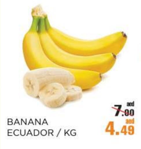 Fresh Fruits in OK Hypermarket LLC SPC, UAE Offers - United Arab Emirates Banana from Ecuador available at OK Hypermarket LLC SPC in UAE - Abu Dhabi