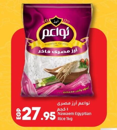أرز كالروز available at لولو هايبرماركت in Egypt - القاهرة