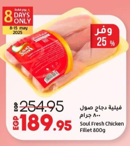 فيليه دجاج available at لولو هايبرماركت in Egypt - القاهرة